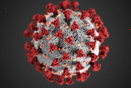 Coronavirus Update